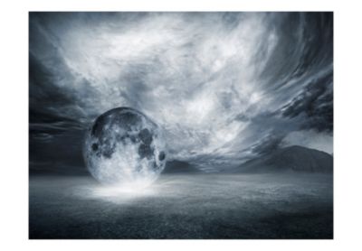 Papier peint intissé panoramique paysage la planète perdue 350x270 cm