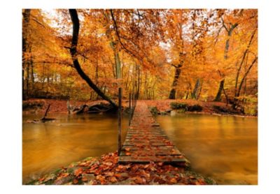Papier peint intissé panoramique paysage passerelle en bois dans la forêt 200x154 cm