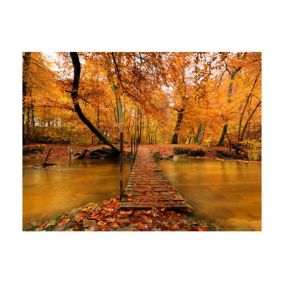 Papier peint intissé panoramique paysage passerelle en bois dans la forêt 400x309 cm