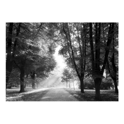 Papier peint intissé panoramique paysage path of memories 300x210 cm