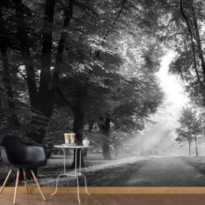 Papier peint intissé panoramique paysage path of memories 300x210 cm