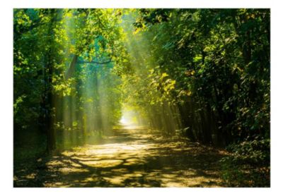 Papier peint intissé panoramique paysage road in sunlight 200x140 cm