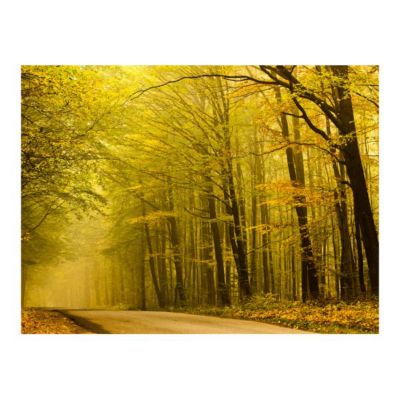 Papier peint intissé panoramique paysage route dans la forêt d'automne 250x193 cm