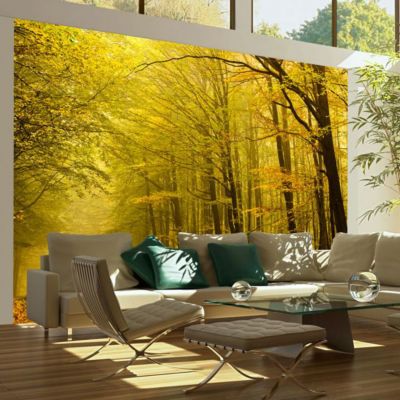 Papier peint intissé panoramique paysage route dans la forêt d'automne 250x193 cm