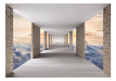 Papier peint intissé panoramique paysage skyward travel 400x280 cm