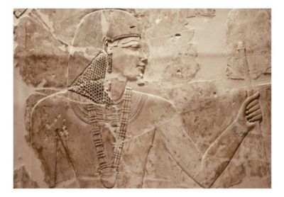 Papier peint intissé panoramique paysage stone pharaoh 350x245 cm