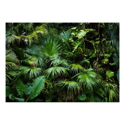 Papier peint intissé panoramique paysage sunny jungle 200x140 cm