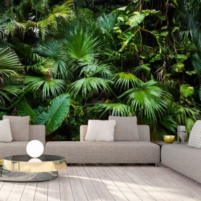 Papier peint intissé panoramique paysage sunny jungle 200x140 cm