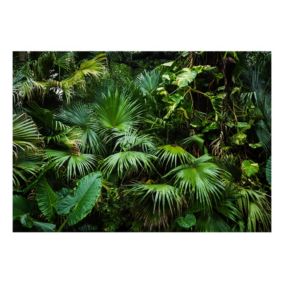 Papier peint intissé panoramique paysage sunny jungle 350x245 cm