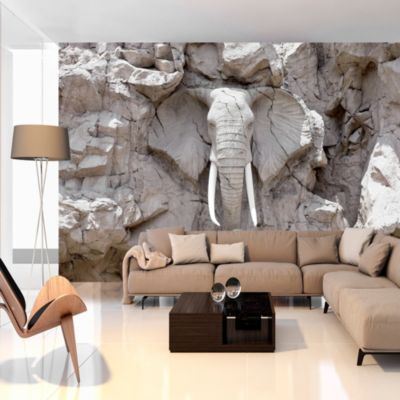Papier peint intissé panoramique paysage the bridge of time (south africa) 400x280 cm
