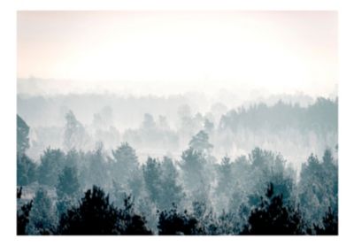 Papier peint intissé panoramique paysage winter forest 1 250x175 cm
