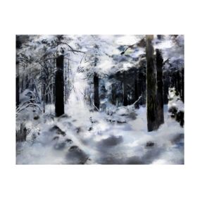 Papier peint intissé panoramique paysage winter forest 250x193 cm