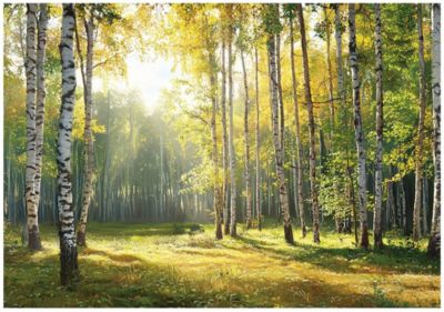 Papier Peint Intissé Panoramique Pour Chambre Cuisine 3D Forêt Vert 350x250