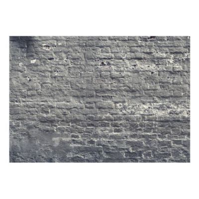 Papier peint intissé panoramique shadow alley 350x245 cm
