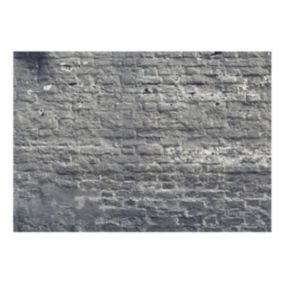Papier peint intissé panoramique shadow alley 400x280 cm