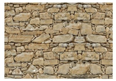 Papier peint intissé panoramique stone wall 1 250x175 cm