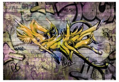 Papier peint intissé panoramique street art stunning graffiti 350x245 cm