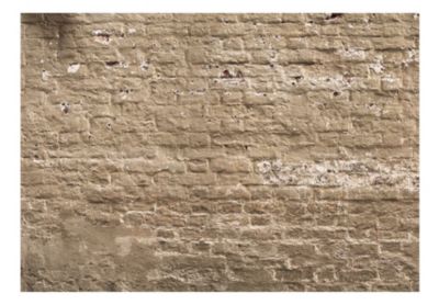 Papier peint intissé panoramique urban oasis 400x280 cm