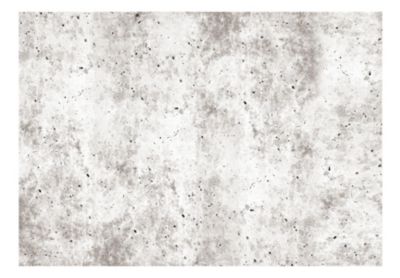 Papier peint intissé panoramique urban style: concrete 400x280 cm