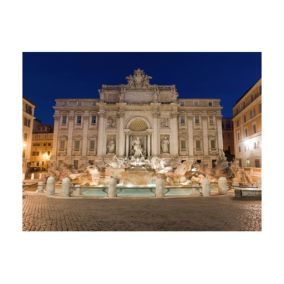 Papier peint intissé panoramique ville et architecture fontaine de trevi - rome 400x309 cm