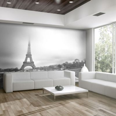 Papier peint intissé panoramique ville et architecture paris: tour eiffel 300x231 cm