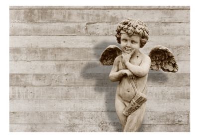 Papier peint intissé panoramique vintage et retro angelic face 350x245 cm