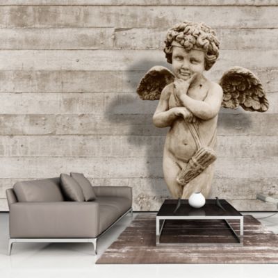 Papier peint intissé panoramique vintage et retro angelic face 350x245 cm