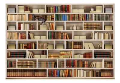 Papier peint intissé panoramique vintage et retro bibliothèque domestique 250x175 cm