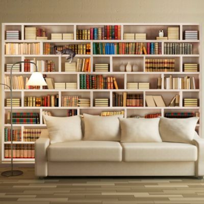 Papier peint intissé panoramique vintage et retro bibliothèque domestique 250x175 cm