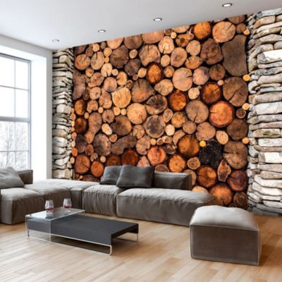 Papier peint intissé panoramique wooden gate 400x280 cm
