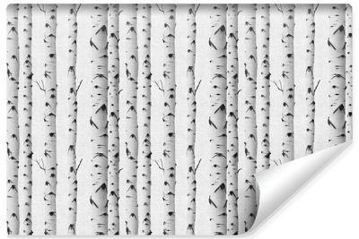 Papier Peint Intissé Photo ARBES Bouleaux Nature Pour Salon 400cm x 280cm