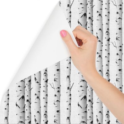 Papier Peint Intissé Photo ARBES Bouleaux Nature Pour Salon 400cm x 280cm