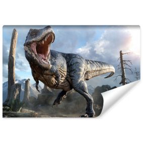 Papier Peint Intissé Photo DINOSAURE Nuages Rochers 3D Pour Chambre D'Adolescent 400cm x 280cm