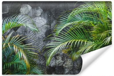Papier Peint Intissé Photo FEUILLES De Palmier Béton Pour La Chambre 368cm x 254cm