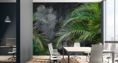Papier Peint Intissé Photo FEUILLES De Palmier Béton Pour La Chambre 368cm x 254cm