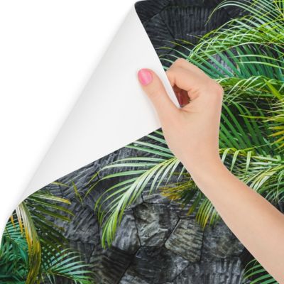 Papier Peint Intissé Photo FEUILLES De Palmier Béton Pour La Chambre 368cm x 254cm