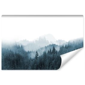 Papier Peint Intissé Photo FORÊT Brouillard Nature 3D Pour Salon 315cm x 210cm