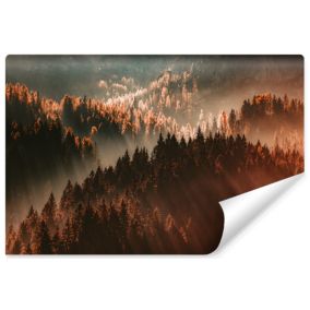 Papier Peint Intissé Photo FORÊT Brouillard Paysage 3D Pour Chambre 180cm x 120cm