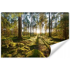 Papier Peint Intissé Photo Mural FORÊT Arbres Paysage Nature 3D Pour Salon 180cm x 120cm