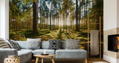Papier Peint Intissé Photo Mural FORÊT Arbres Paysage Nature 3D Pour Salon 300cm x 210cm
