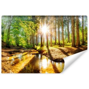 Papier Peint Intissé Photo Mural Pour Salon FORÊT Soleil Arbres Nature Paysage 3D 180cm x 120cm