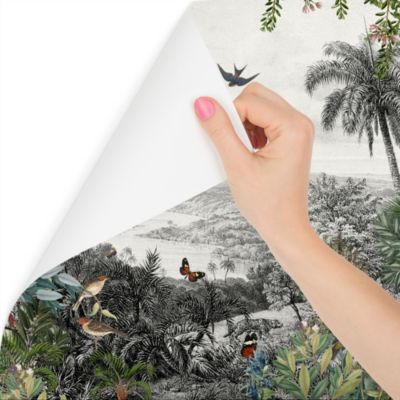 Papier Peint Intissé Photo PLANTES Oiseaux Paysage 3D Pour Salon 405cm x 270cm