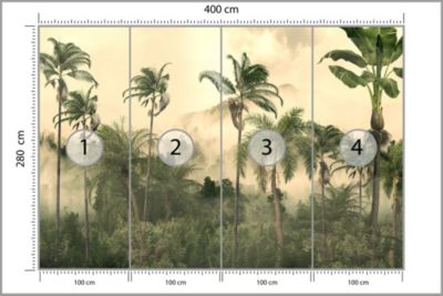Papier Peint Intissé Photo PLANTES Palmier Feuilles Pour Salon 400cm x 280cm