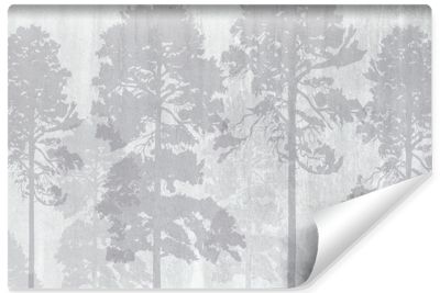 Papier Peint Intissé Photo Pour Chambre Arbres Dans Le Brouillard 90cm x 60cm