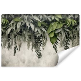 Papier Peint Intissé Photo Pour Chambre FEUILLES Plantes 3D Béton 270cm x 180cm