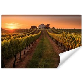 Papier Peint Intissé Photo Pour Chambre VIGNOBLE Paysage Nature 3D 405cm x 270cm