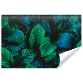 Papier Peint Intissé Photo Pour Salon FEUILLES Tropicales Plantes 315cm x 210cm