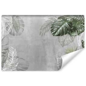 Papier Peint Intissé Photo Pour Salon FEUILLES Tropicales Plantes Béton 270cm x 180cm