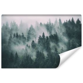 Papier Peint Intissé Photo Pour Salon FORÊT DANS LE BROUILLARD Arbres Paysage 3D 135cm x 90cm