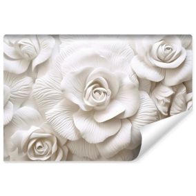 Papier Peint Intissé Photo Pour Salon INTISSE Roses Fleurs 3D 135cm x 90cm